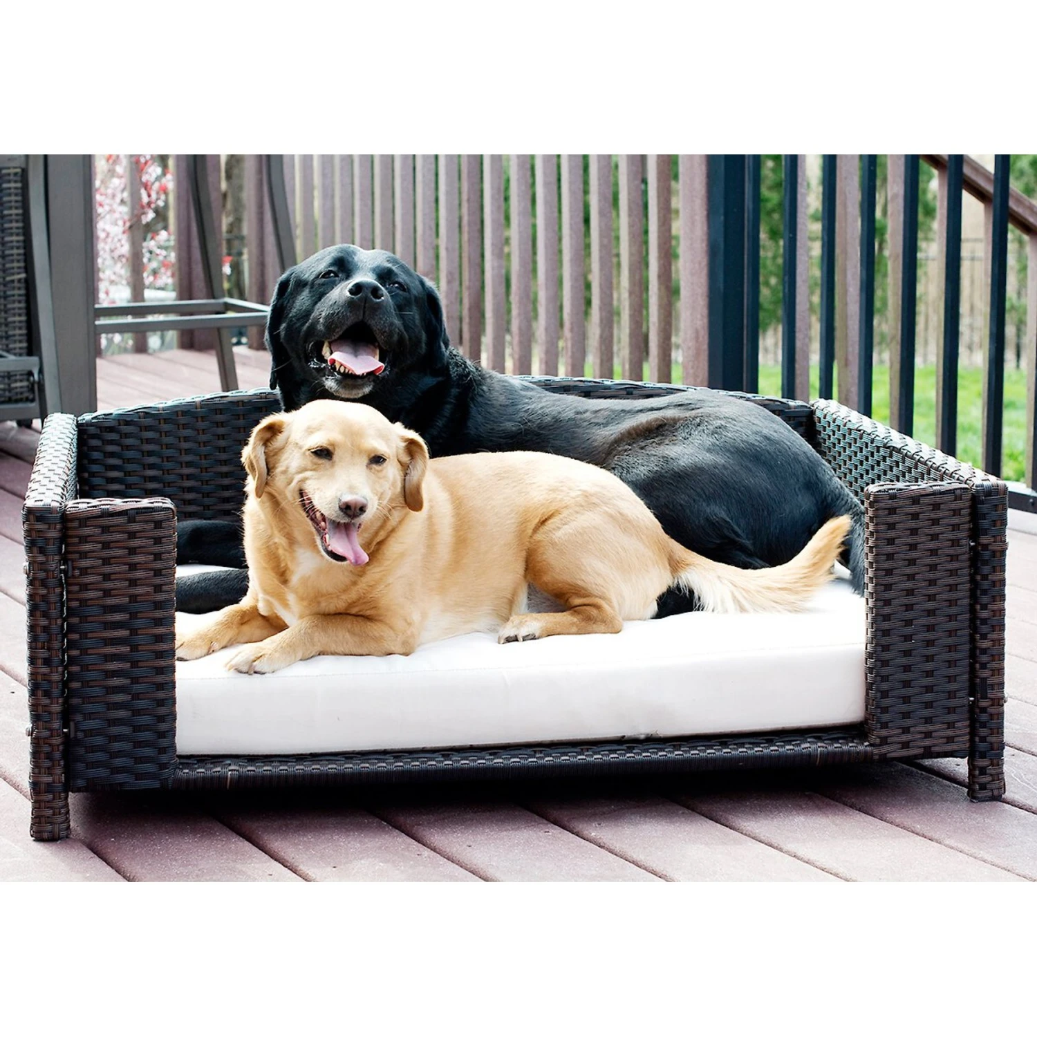 Iconic Pet Rattan Rectangular Sofa Cat & Dog Bed With Removable Cover, Espresso 4 Iconic Pet Rattan Rectangular Sofa Cat & Dog Bed With Removable Cover, Espresso - Image 4