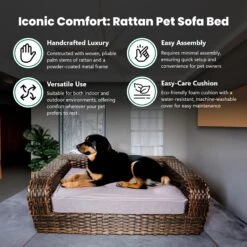 Iconic Pet Rattan Sofa Cat & Dog Bed With Removable Cover, Caramel & Mocha -PetSafe Shop Sale 192466 PT4. AC SS1800 V1568755958
