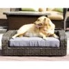 Iconic Pet Rattan Sofa Cat & Dog Bed With Removable Cover, Caramel & Mocha