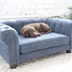 La-Z-Boy Furniture Sofa Dog Bed 15 La-Z-Boy Furniture Sofa Dog Bed -PetSafe Shop Sale 192832 PT7. AC SS1800 V1605313617