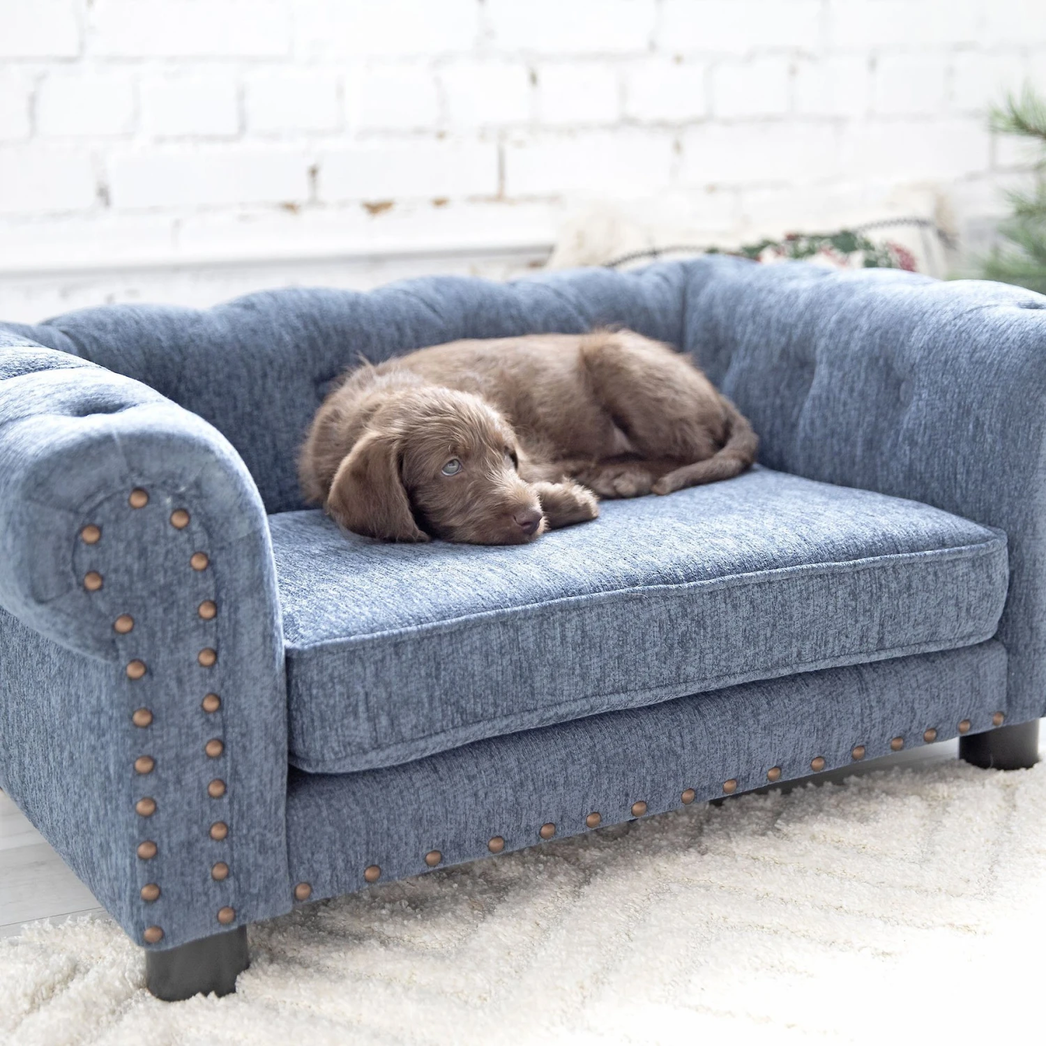 La-Z-Boy Furniture Sofa Dog Bed 8 La-Z-Boy Furniture Sofa Dog Bed - Image 8