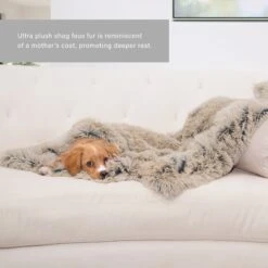 Best Friends By Sheri Throw Shag Dog & Cat Blanket 10 Best Friends By Sheri Throw Shag Dog & Cat Blanket -PetSafe Shop Sale 193307 PT4. AC SS1800 V1697753706