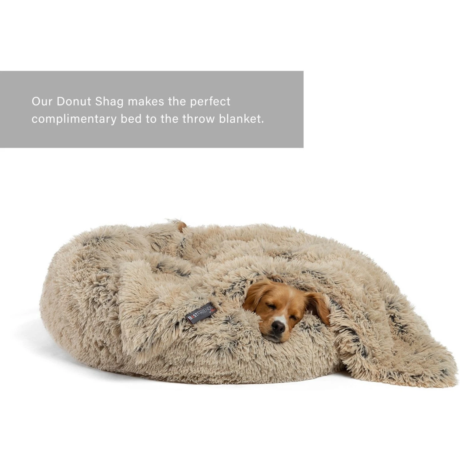 Best Friends By Sheri Throw Shag Dog & Cat Blanket 6 Best Friends By Sheri Throw Shag Dog & Cat Blanket - Image 6