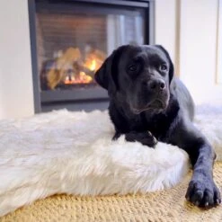 PawBrands PupRug Faux Fur Curve Orthopedic Pillow Dog Bed With Removable Cover, White -PetSafe Shop Sale 194376 PT3. AC SS1800 V1566829947