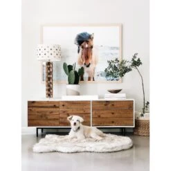 PawBrands PupRug Faux Fur Curve Orthopedic Pillow Dog Bed With Removable Cover, White -PetSafe Shop Sale 194376 PT5. AC SS1800 V1566829965