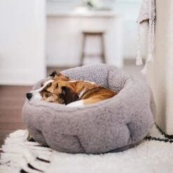 Best Friends By Sheri Sherpa Deep Dish Bolster Cat & Dog Bed W/Blanket & Plush Bone -PetSafe Shop Sale 201952 pt5. AC SS1800 V1569264198