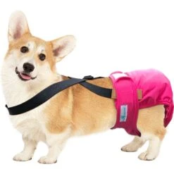 Paw Inspired Dog Diaper Suspenders -PetSafe Shop Sale 208513 PT2. AC SS1800 V1640879809