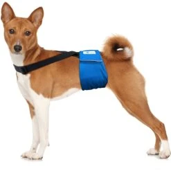 Paw Inspired Dog Diaper Suspenders -PetSafe Shop Sale 208513 PT3. AC SS1800 V1640880407