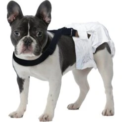 Paw Inspired Dog Diaper Suspenders -PetSafe Shop Sale 208513 PT4. AC SS1800 V1640882002