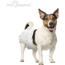 Paw Inspired Disposable Female Dog Diapers -PetSafe Shop Sale 208518 PT3. AC SS1800 V1613696180