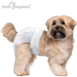 Paw Inspired Ultra Protection Disposable Female Dog Diapers -PetSafe Shop Sale 208521 PT3. AC SS1800 V1613698928