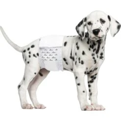 Paw Inspired Ultra Protection Disposable Belly Band Male Dog Wraps -PetSafe Shop Sale 208526 PT4. AC SS1800 V1582726979