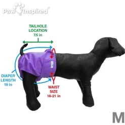 Paw Inspired Washable Female Dog Diaper -PetSafe Shop Sale 208541 PT4. AC SS1800 V1631142082