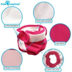 Paw Inspired Washable Female Dog Diaper -PetSafe Shop Sale 208541 PT6. AC SS1800 V1631159198