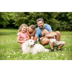 Educator By E-Collar Technologies Educator E-Fence Underground Fence Dog Containment System Boundary Flags 12 Educator By E-Collar Technologies Educator E-Fence Underground Fence Dog Containment System Boundary Flags -PetSafe Shop Sale 210089 PT5. AC SS1800 V1627312589