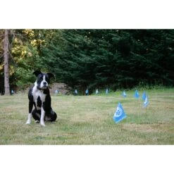 Educator By E-Collar Technologies Educator E-Fence Underground Fence Dog Containment System Boundary Flags 9 Educator By E-Collar Technologies Educator E-Fence Underground Fence Dog Containment System Boundary Flags -PetSafe Shop Sale 210089 pt2. AC SS1800 V1573683502