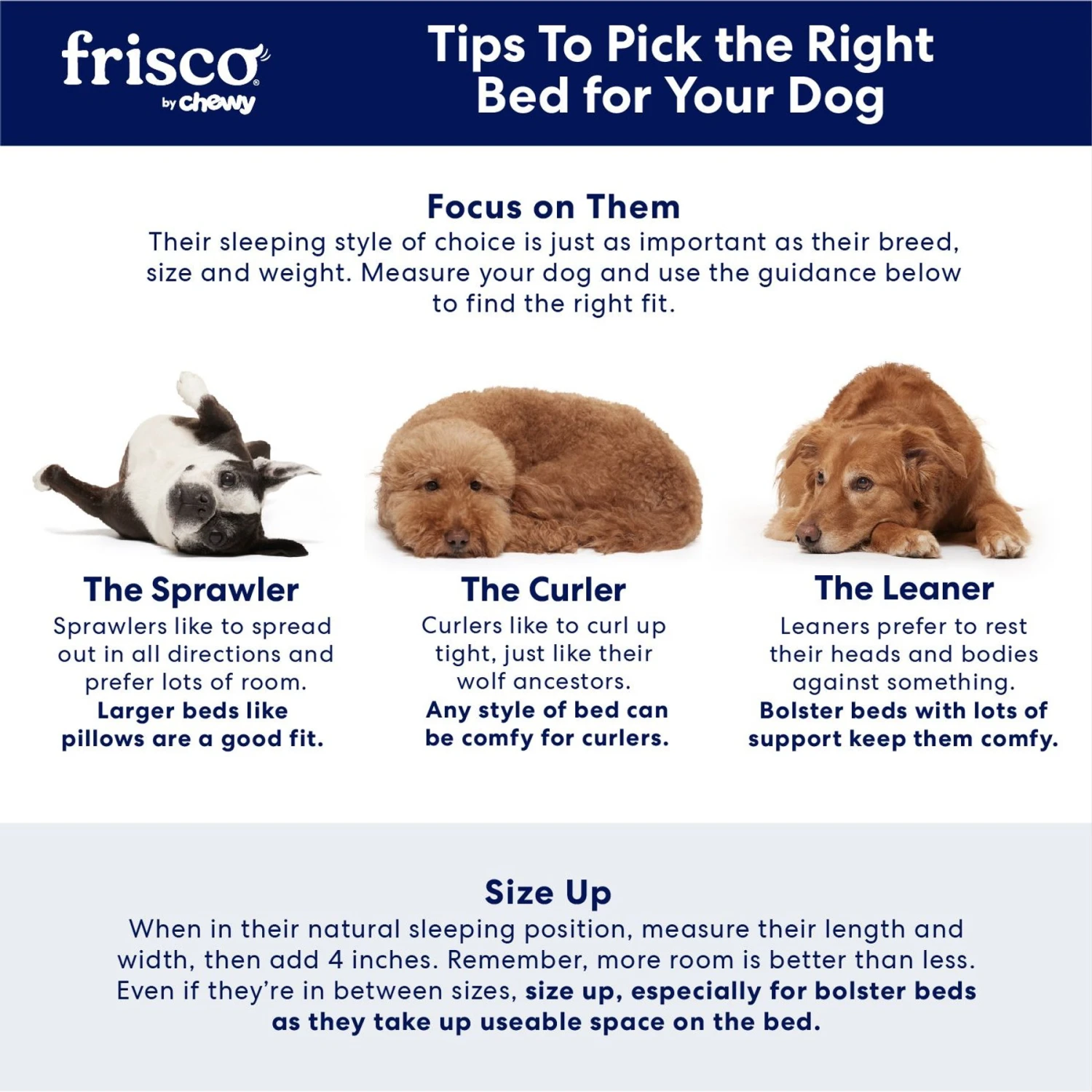 Frisco Eyelash Cat & Dog Bolster Bed 5 Frisco Eyelash Cat & Dog Bolster Bed - Image 5