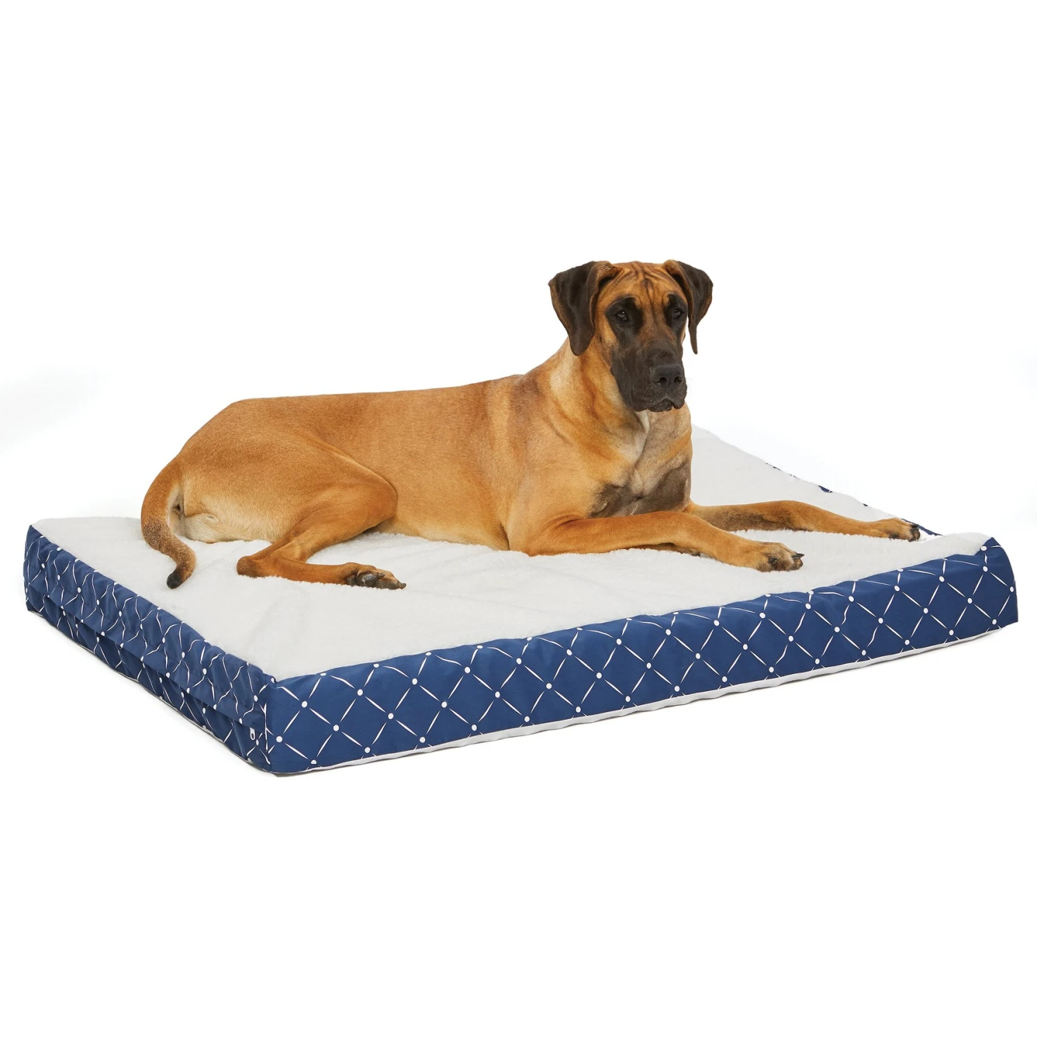 MidWest QuietTime Couture Donovan Orthopedic Pillow Dog Bed With Removable Cover 1 MidWest QuietTime Couture Donovan Orthopedic Pillow Dog Bed With Removable Cover