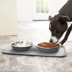 Frisco Heavy Duty Non-Skid Silicone Diner -PetSafe Shop Sale 215979 PT6. AC SS1800 V1599089765