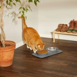 Frisco Heavy Duty Non-Skid Silicone Diner -PetSafe Shop Sale 215979 PT7. AC SS1800 V1599090986