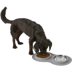 Frisco Double Stainless Steel Pet Bowl With Silicone Mat -PetSafe Shop Sale 215986 PT5. AC SS1800 V1605652436