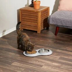 Frisco Double Stainless Steel Pet Bowl With Silicone Mat -PetSafe Shop Sale 215986 PT6. AC SS1800 V1605657710