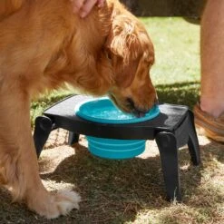 Frisco Elevated Collapsible Travel Bowl -PetSafe Shop Sale 216013 PT7. AC SS1800 V1605653830