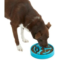 Frisco Bone Shaped Ridges Slow Feed Bowl 10 Frisco Bone Shaped Ridges Slow Feed Bowl -PetSafe Shop Sale 216041 PT6. AC SS1800 V1605664049