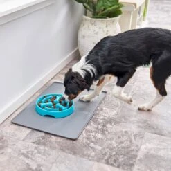 Frisco Bone Shaped Ridges Slow Feed Bowl 11 Frisco Bone Shaped Ridges Slow Feed Bowl -PetSafe Shop Sale 216041 PT7. AC SS1800 V1605652347
