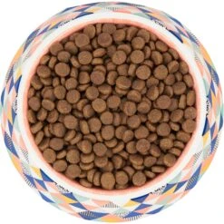 Frisco Colorful Geometric Melamine Bowl -PetSafe Shop Sale 216054 PT4. AC SS1800 V1591020757