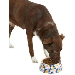 Frisco Colorful Geometric Melamine Bowl -PetSafe Shop Sale 216054 PT6. AC SS1800 V1605658026