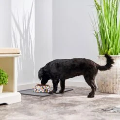 Frisco Colorful Geometric Melamine Bowl -PetSafe Shop Sale 216054 PT7. AC SS1800 V1605662213