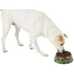 Frisco Camo Paint Splashed Melamine Bowl 12 Frisco Camo Paint Splashed Melamine Bowl -PetSafe Shop Sale 216066 PT6. AC SS1800 V1605666935