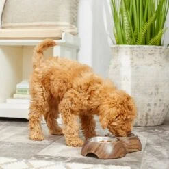 Frisco Double Stainless Steel Bowl, Wood Design -PetSafe Shop Sale 216068 PT7. AC SS1800 V1605666481