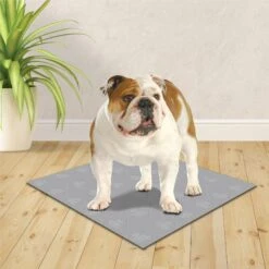 Wee-Wee Premium Patch Washable Dog Pee Pad 10 Wee-Wee Premium Patch Washable Dog Pee Pad -PetSafe Shop Sale 216078 PT3. AC SS1800 V1578325725
