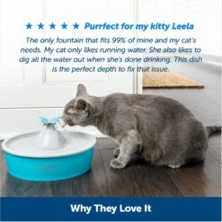 PetSafe Drinkwell Butterfly Dog & Cat Drinking Fountain, 50-oz -PetSafe Shop Sale 222223 PT5. AC SS1800 V1676398887