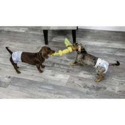 Hartz Disposable Male Dog Wraps With FlashDry Gel Technology -PetSafe Shop Sale 222809 PT3. AC SS1800 V1649900811