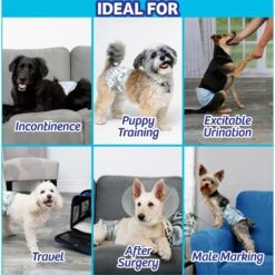 Hartz Disposable Male Dog Wraps With FlashDry Gel Technology -PetSafe Shop Sale 222809 PT4. AC SS1800 V1649898389