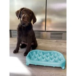 Neater Pets Standard Non-Skid Plastic Slow Feeder Dog & Cat Bowl -PetSafe Shop Sale 224726 pt5. AC SS1800 V1583446071