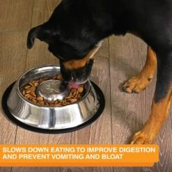 Neater Pets Non-Skid Non-Tip Stainless Steel Slow Feeder Dog Bowl -PetSafe Shop Sale 224737 PT6. AC SS1800 V1631143281