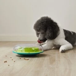 Nina Ottosson By Outward Hound Wobble Plastic Slow Feeder Dog Bowl -PetSafe Shop Sale 226747 PT5. AC SS1800 V1694286044