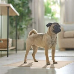 Frisco Large Eco-Conscious Dog Training & Potty Pads 15 Frisco Large Eco-Conscious Dog Training & Potty Pads -PetSafe Shop Sale 227438 PT6. AC SS1800 V1674665619