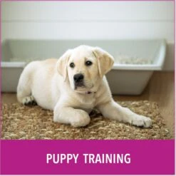 Puppy Go Potty Natural Paper Fiber Dog Litter -PetSafe Shop Sale 227546 PT4. AC SS1800 V1597158666