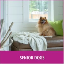 Puppy Go Potty Natural Paper Fiber Dog Litter -PetSafe Shop Sale 227546 PT5. AC SS1800 V1597158657