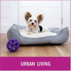 Puppy Go Potty Natural Paper Fiber Dog Litter -PetSafe Shop Sale 227546 PT6. AC SS1800 V1597158654