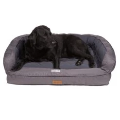 3 Dog Pet Supply EZ Wash Softshell Personalized Orthopedic Bolster Dog Bed With Removable Cover