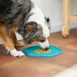 Frisco Silicone Treat Lick Mat -PetSafe Shop Sale 232099 PT7. AC SS1800 V1605739324