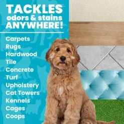 Unique Pet Care Ultra Concentrated Pet Odor & Stain Eliminator -PetSafe Shop Sale 232909 PT2. AC SS1800 V1700689239