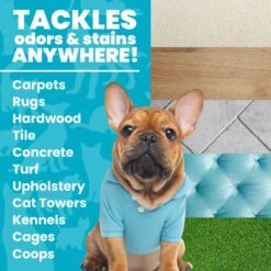 Unique Pet Care Fresh Rain Dog Odor + Stain Remover, 24-oz Bottle -PetSafe Shop Sale 232911 PT2. AC SS1800 V1700689358