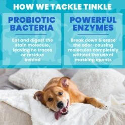 Unique Pet Care Fresh Rain Dog Odor + Stain Remover, 24-oz Bottle -PetSafe Shop Sale 232911 PT4. AC SS1800 V1700689238